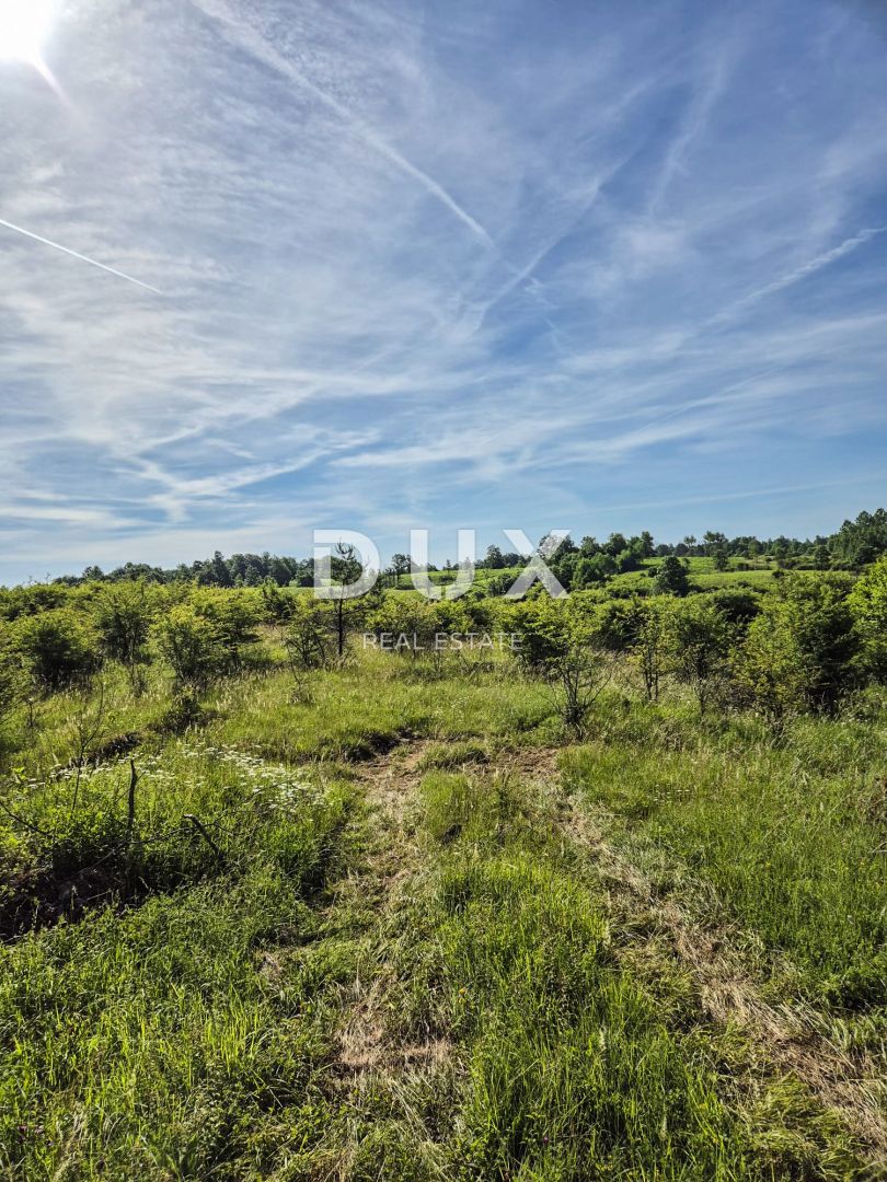 SLUNJ, TRŽIĆ - 77.083 m2 zemljišča s hišo, investicijska priložnost