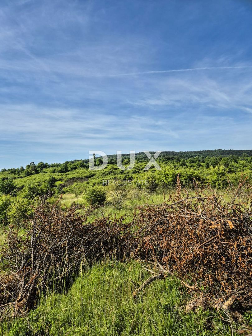 SLUNJ, TRŽIĆ - 77.083 m2 zemljišča s hišo, investicijska priložnost