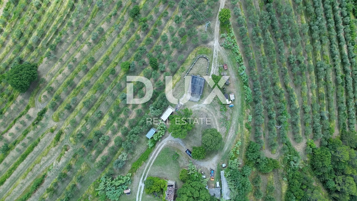 ISTRA, MOTOVUN - Motovunski raj - posestvo s pogledom na Butonigo, Učko in gozd tartufov