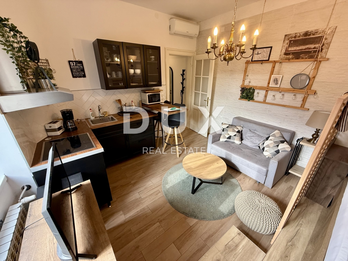 ZAGREB, CENTER - dupleks stanovanje s tremi stanovanji in odličnim dohodkom!