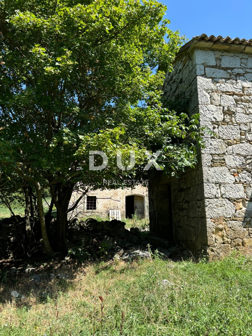 ISTRA, LUPOGLAV Čudovita kmetija, idealna za kmečki turizem, poroke in dogodke! 