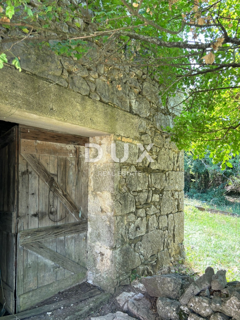 ISTRA, LUPOGLAV Čudovita kmetija, idealna za kmečki turizem, poroke in dogodke! 