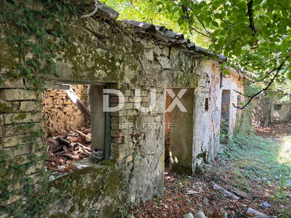 ISTRA, LUPOGLAV Čudovita kmetija, idealna za kmečki turizem, poroke in dogodke! 