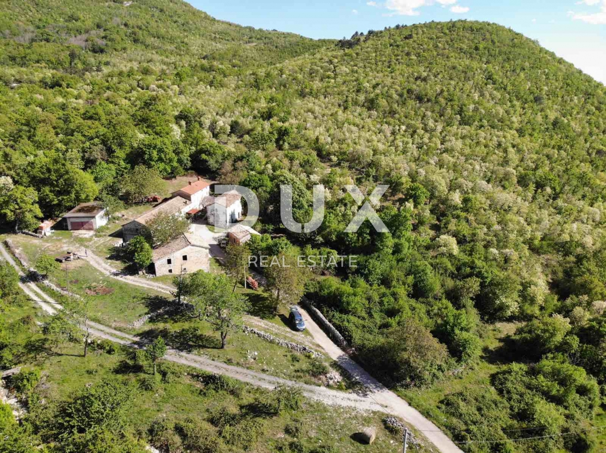 ISTRA, LUPOGLAV Čudovita kmetija, idealna za kmečki turizem, poroke in dogodke! 