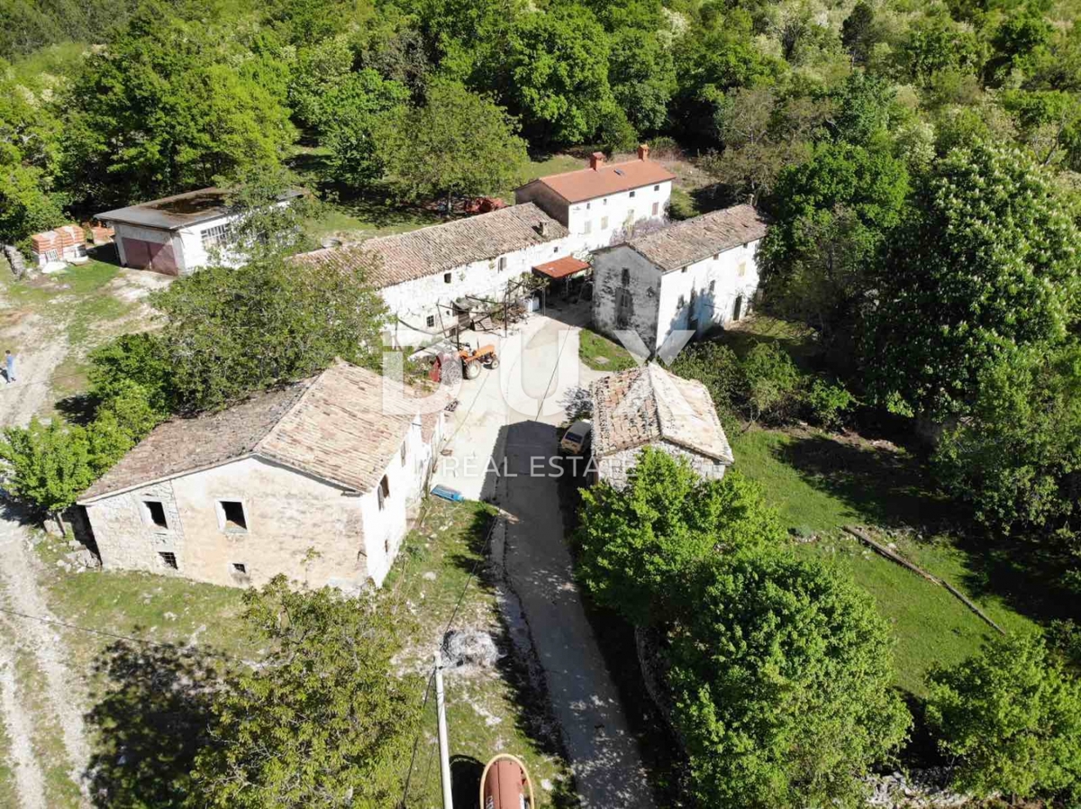 ISTRA, LUPOGLAV Čudovita kmetija, idealna za kmečki turizem, poroke in dogodke! 