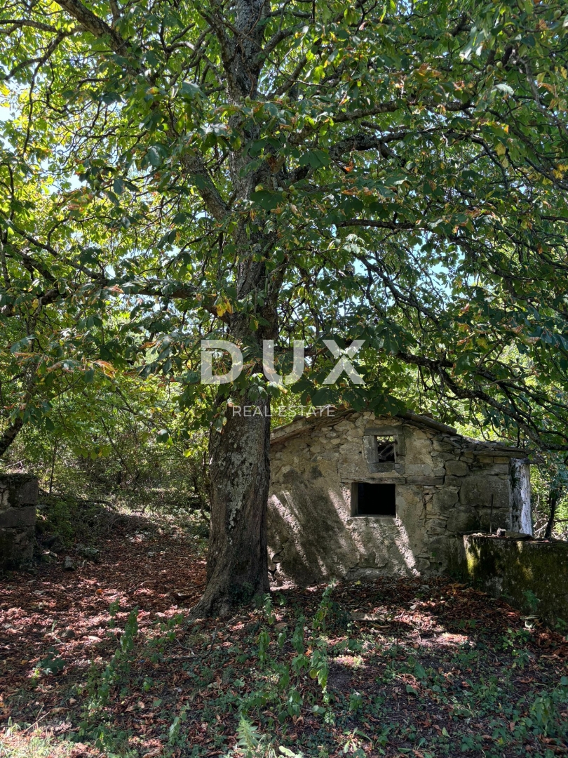 ISTRA, LUPOGLAV Čudovita kmetija, idealna za kmečki turizem, poroke in dogodke! 