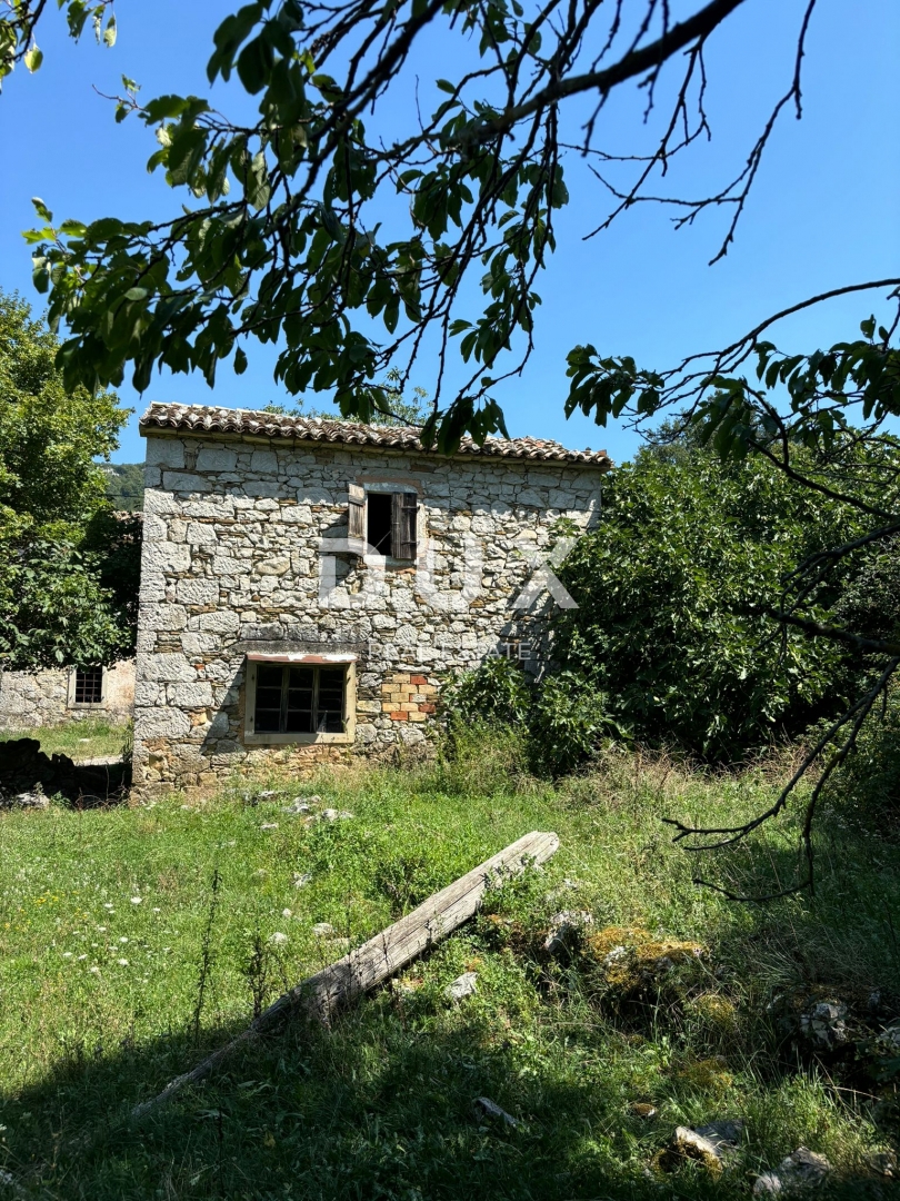 ISTRA, LUPOGLAV Čudovita kmetija, idealna za kmečki turizem, poroke in dogodke! 