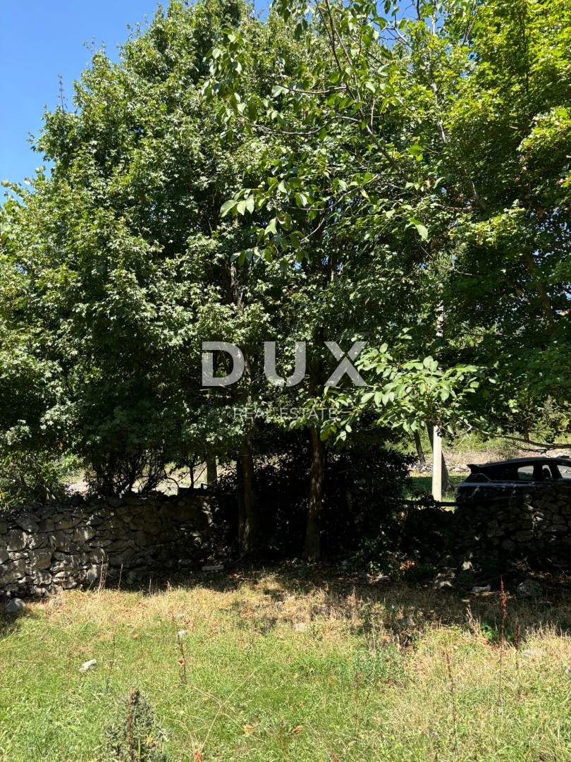ISTRA, LUPOGLAV Čudovita kmetija, idealna za kmečki turizem, poroke in dogodke! 