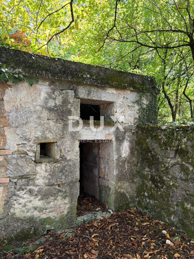 ISTRA, LUPOGLAV Čudovita kmetija, idealna za kmečki turizem, poroke in dogodke! 