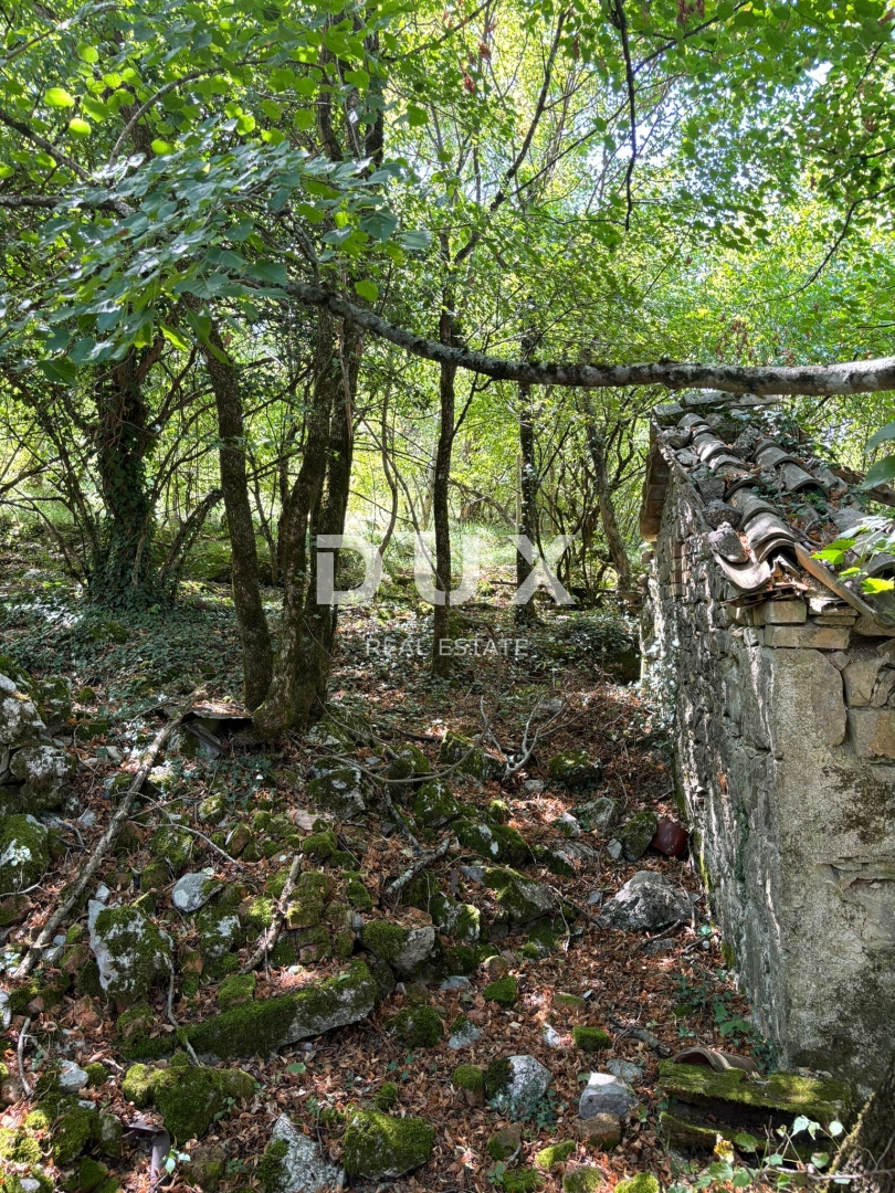 ISTRA, LUPOGLAV Čudovita kmetija, idealna za kmečki turizem, poroke in dogodke! 