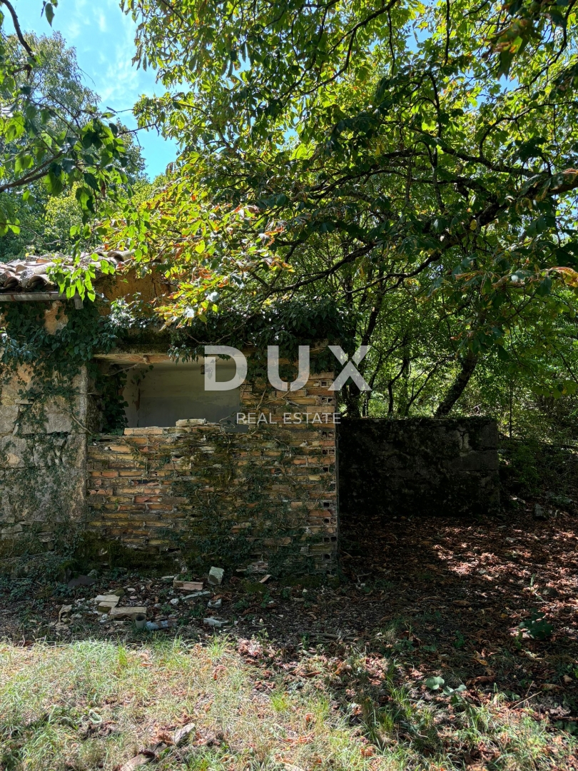 ISTRA, LUPOGLAV Čudovita kmetija, idealna za kmečki turizem, poroke in dogodke! 