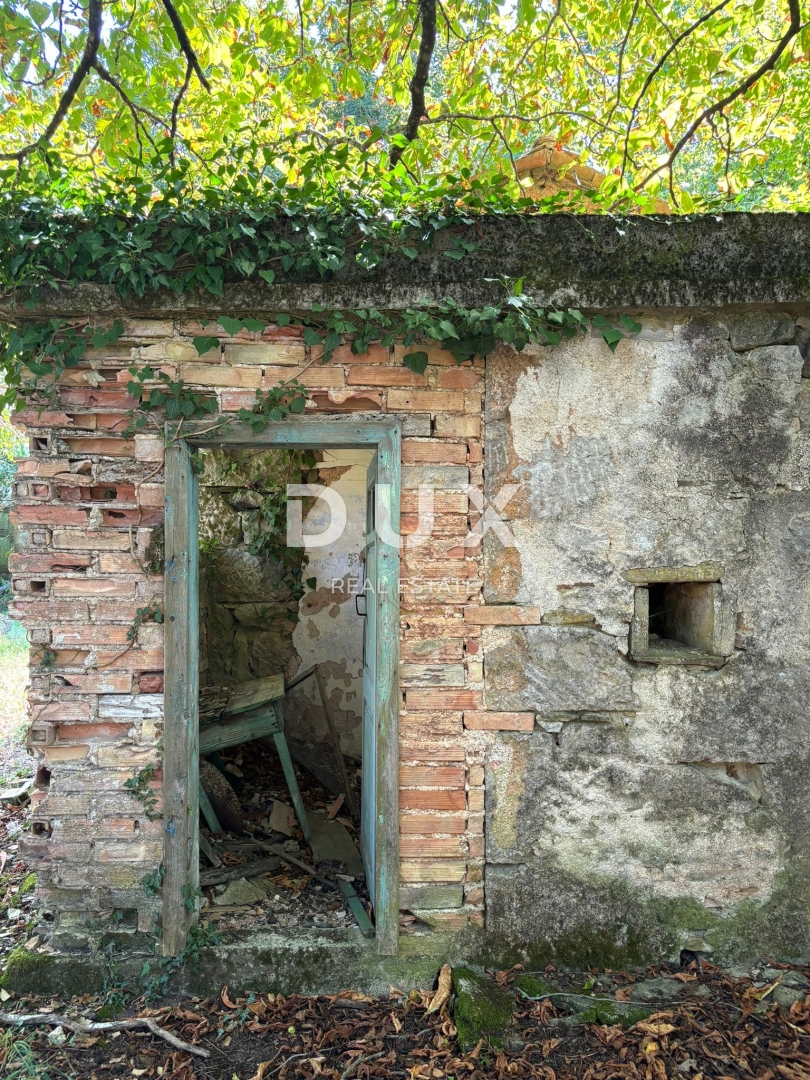 ISTRA, LUPOGLAV Čudovita kmetija, idealna za kmečki turizem, poroke in dogodke! 