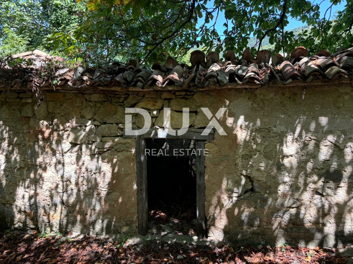 ISTRA, LUPOGLAV Čudovita kmetija, idealna za kmečki turizem, poroke in dogodke! 