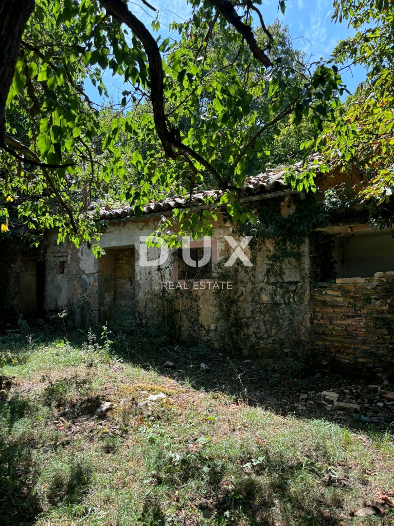 ISTRA, LUPOGLAV Čudovita kmetija, idealna za kmečki turizem, poroke in dogodke! 