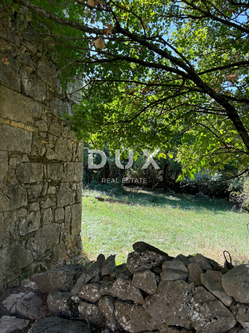 ISTRA, LUPOGLAV Čudovita kmetija, idealna za kmečki turizem, poroke in dogodke! 