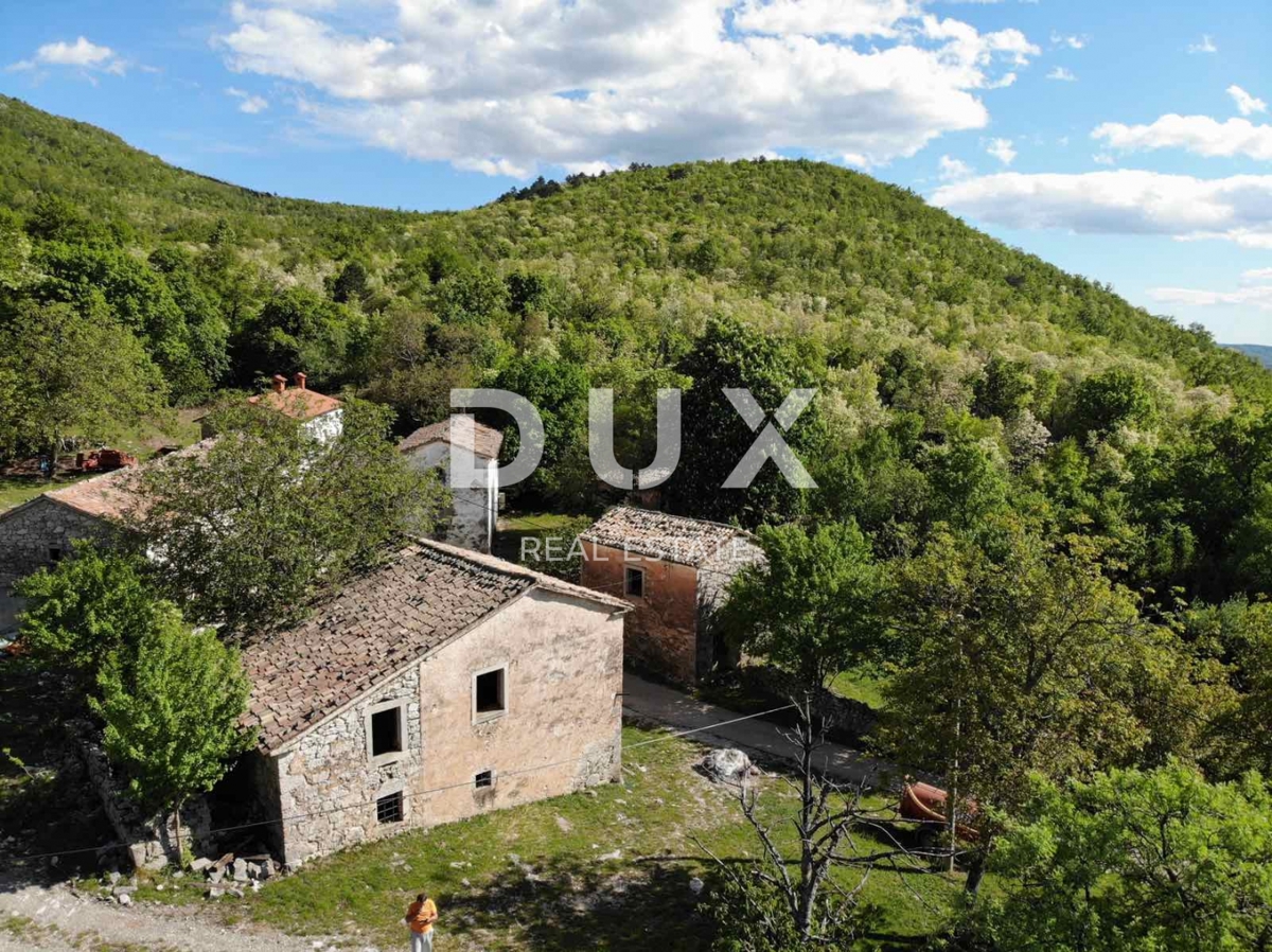 ISTRA, LUPOGLAV Čudovita kmetija, idealna za kmečki turizem, poroke in dogodke! 