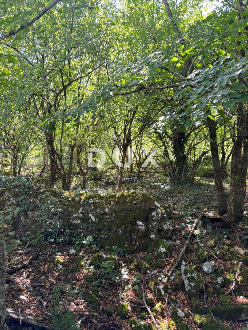 ISTRA, LUPOGLAV Čudovita kmetija, idealna za kmečki turizem, poroke in dogodke! 