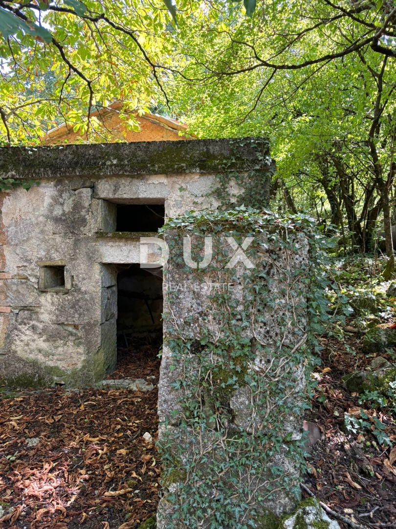 ISTRA, LUPOGLAV Čudovita kmetija, idealna za kmečki turizem, poroke in dogodke! 