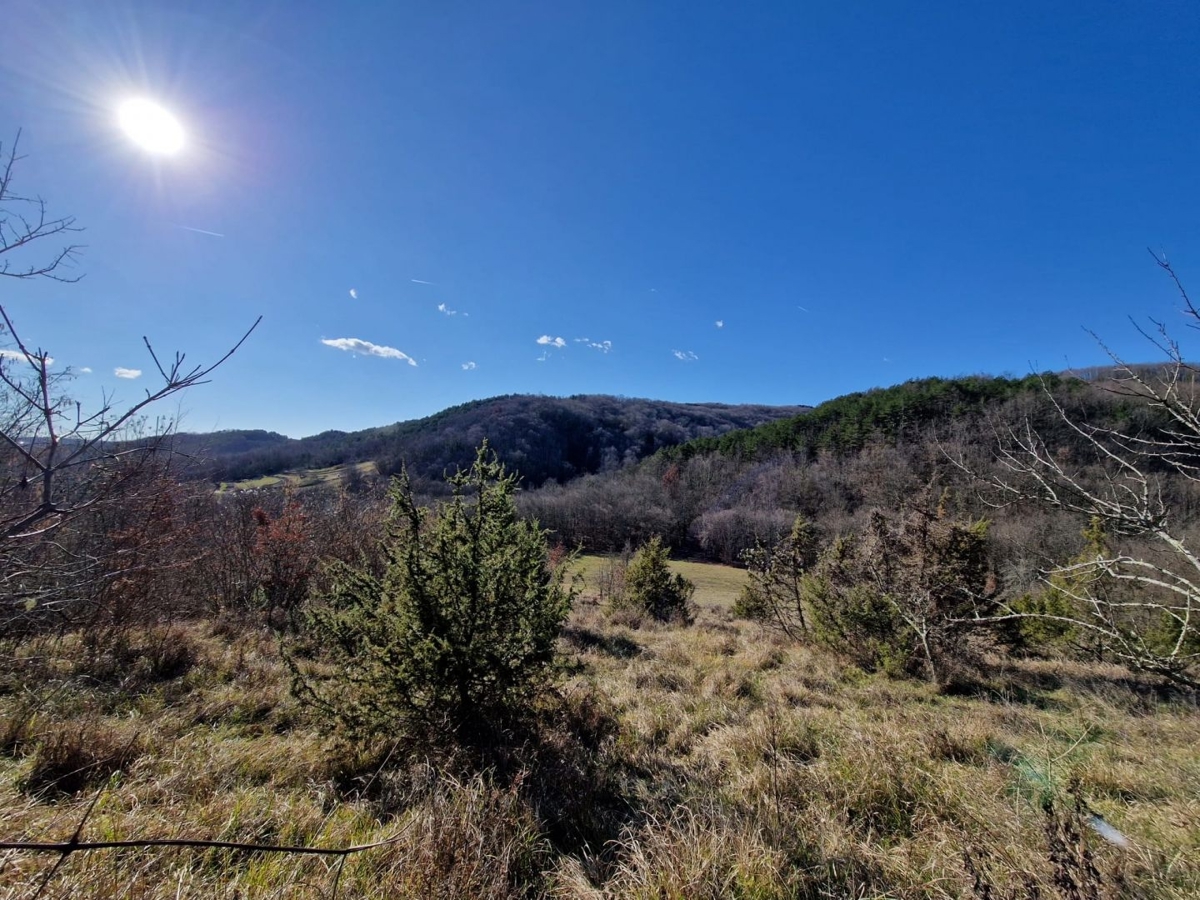 ISTRA, PAZIN - Nepremičnina za prenovo