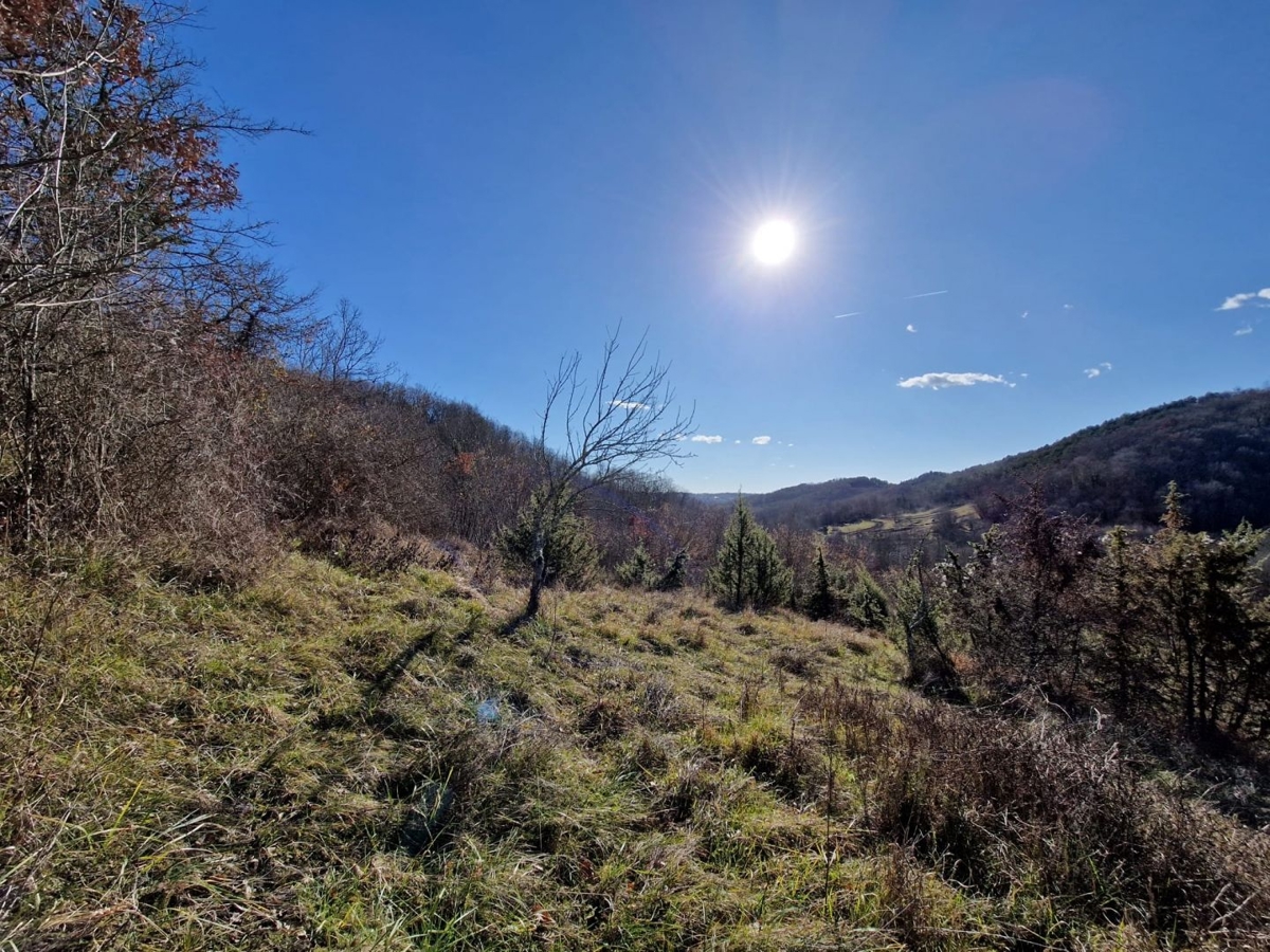 ISTRA, PAZIN - Nepremičnina za prenovo