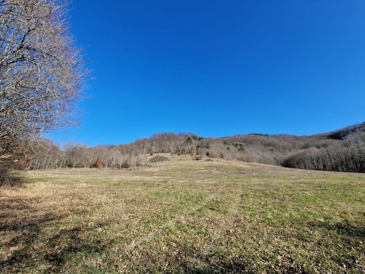 ISTRA, PAZIN - Nepremičnina za prenovo
