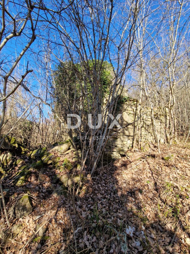 ISTRA, PAZIN - Nepremičnina za prenovo