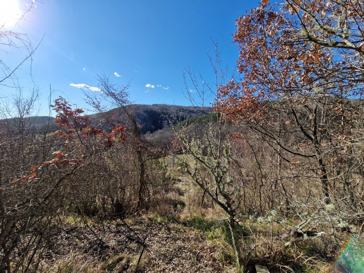 ISTRA, PAZIN - Nepremičnina za prenovo
