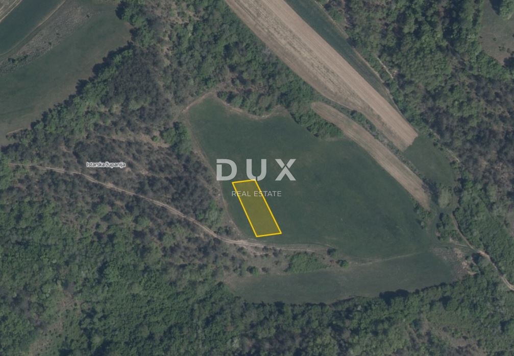 ISTRA, PAZIN, CEROVLJE – Zemljišče 8.919 m², obdelovalno zemljišče, travnik in pašnik