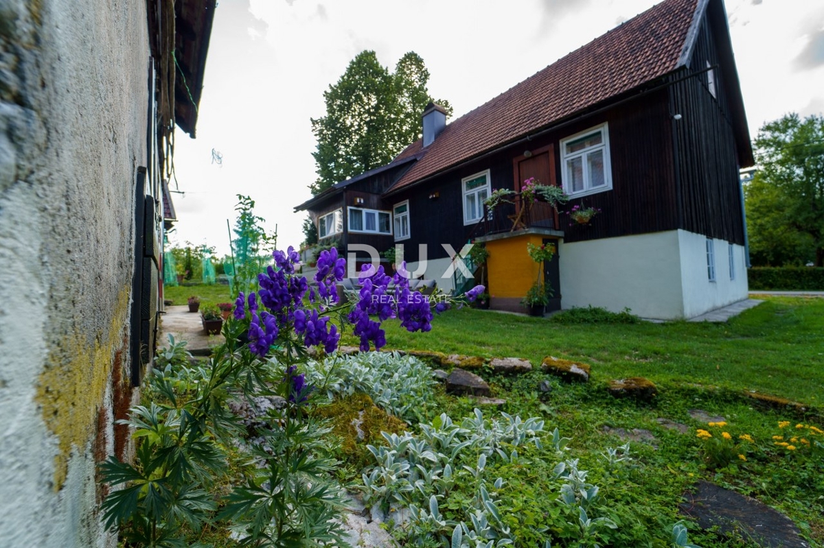 GORSKI KOTAR, DELNICE - projekt s 3 hišami za turizem