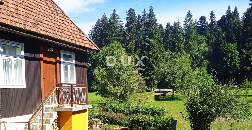 GORSKI KOTAR, DELNICE - projekt s 3 hišami za turizem