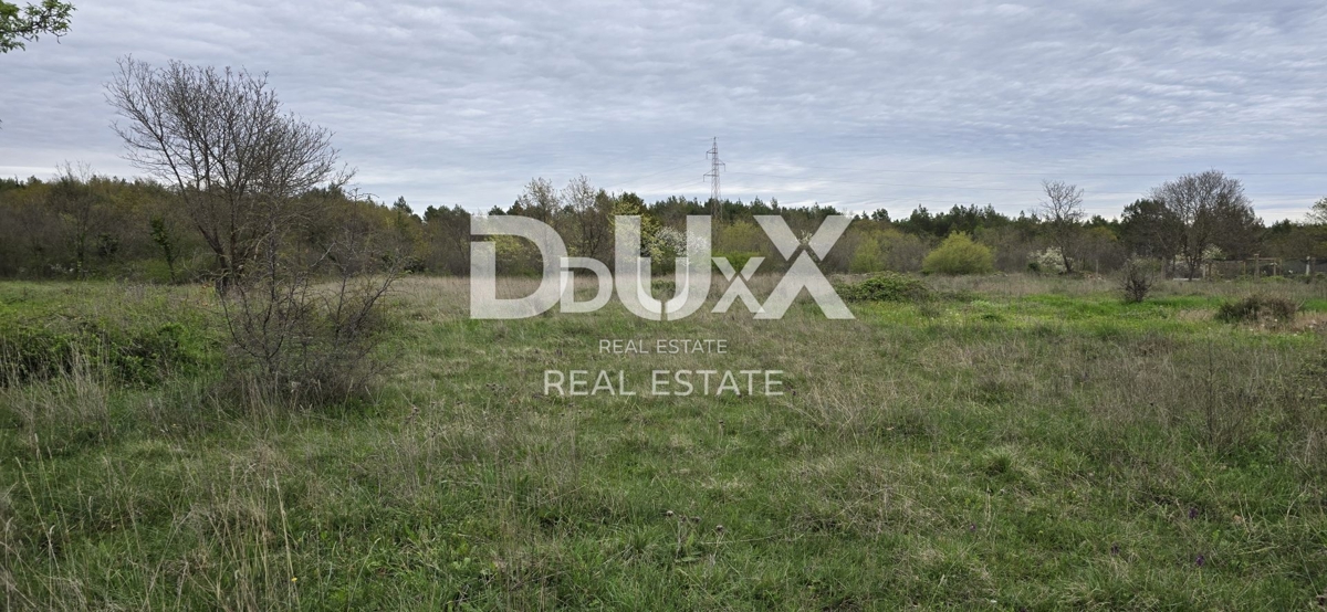 ISTRA, SVETVINČENAT – Privlačno zazidljivo zemljišče s projektom moderne hiše in bazena