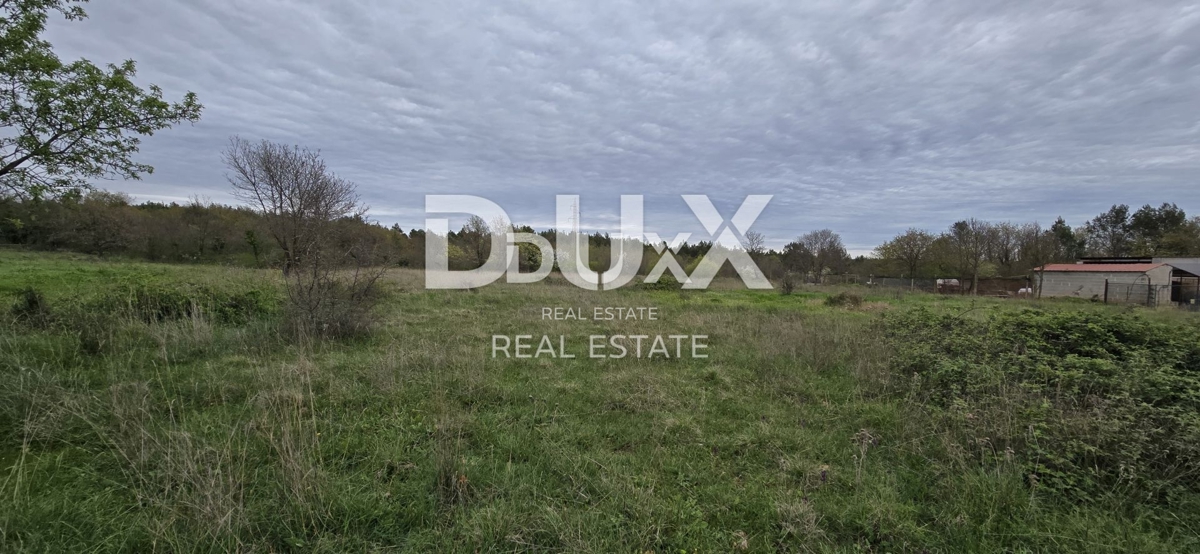 ISTRA, SVETVINČENAT – Privlačno zazidljivo zemljišče s projektom moderne hiše in bazena