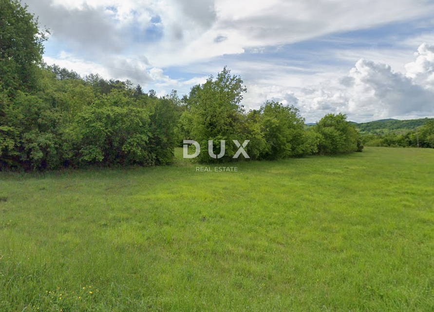 Zemljišče Buzet, 3.761m2