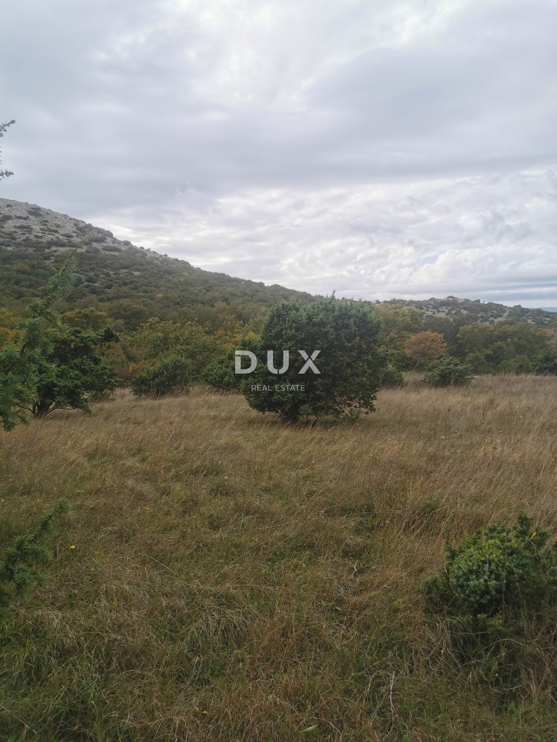 OTOK KRK, PUNAT - Kmetijska zemljišča