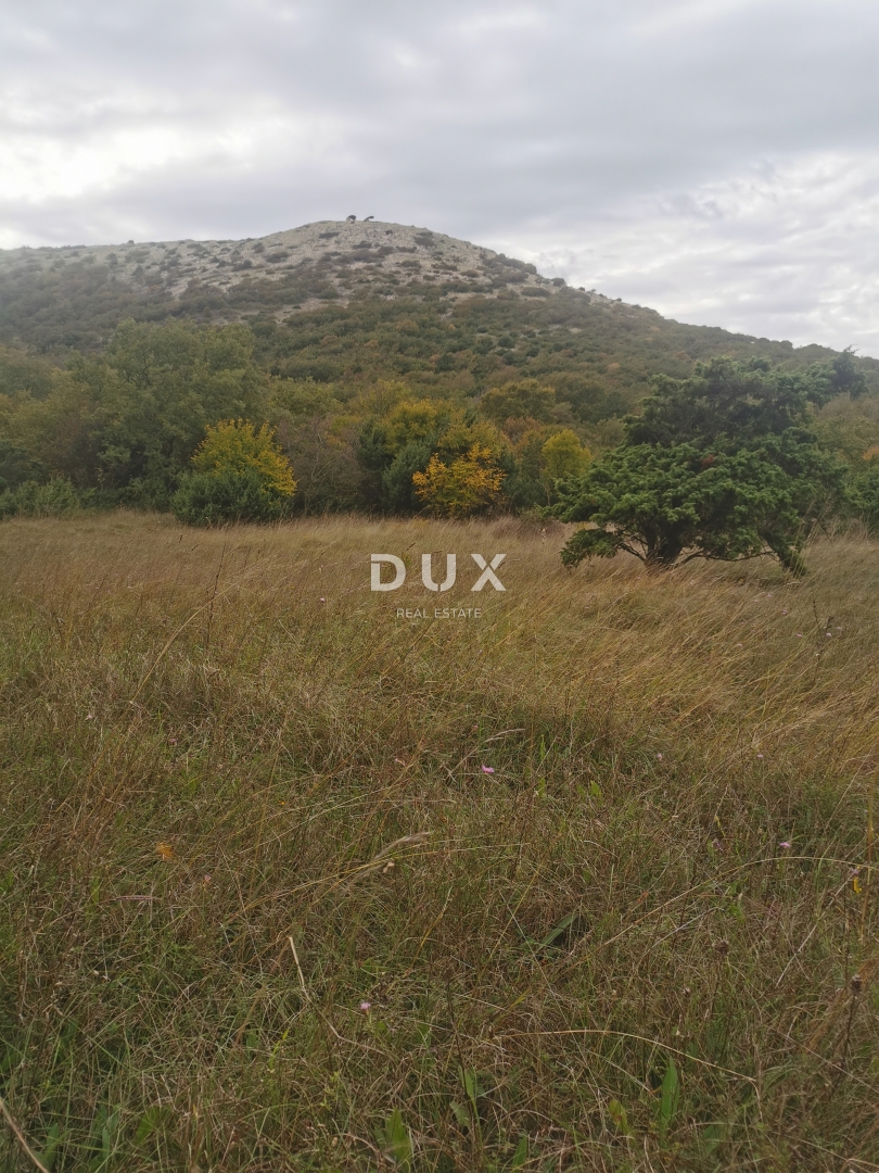 OTOK KRK, PUNAT - Kmetijska zemljišča