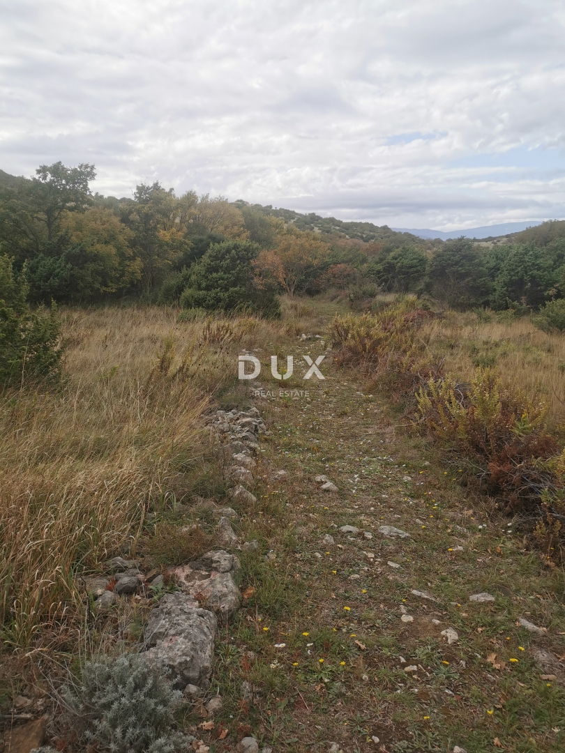 OTOK KRK, PUNAT - Kmetijska zemljišča