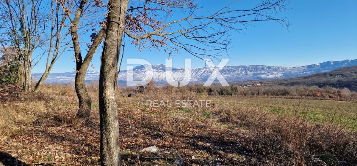 ISTRA, PIĆAN - Gradbeno zemljišče, oljčni nasad, vinograd, njiva, popolna samota in fantastičen razgled