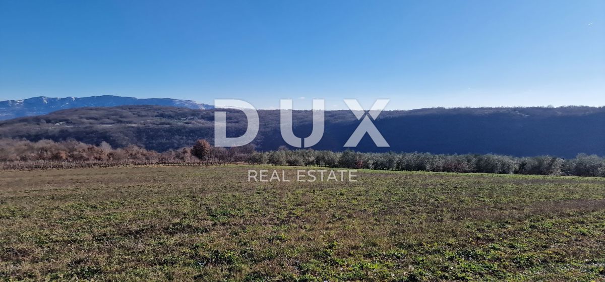 ISTRA, PIĆAN - Gradbeno zemljišče, oljčni nasad, vinograd, njiva, popolna samota in fantastičen razgled