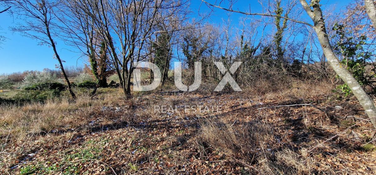 ISTRA, PIĆAN - Gradbeno zemljišče, oljčni nasad, vinograd, njiva, popolna samota in fantastičen razgled