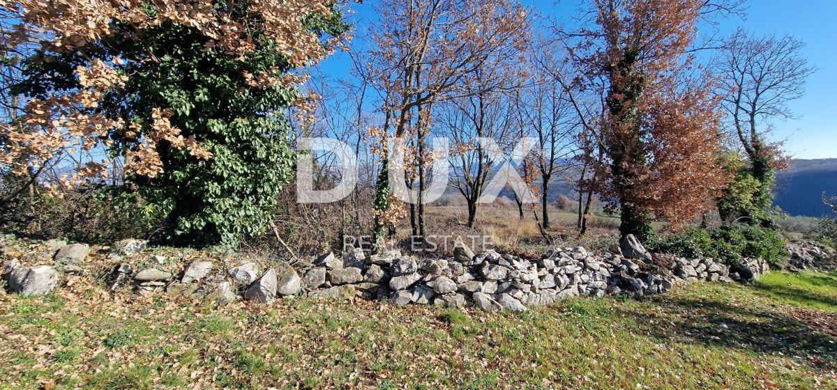 ISTRA, PIĆAN - Gradbeno zemljišče, oljčni nasad, vinograd, njiva, popolna samota in fantastičen razgled