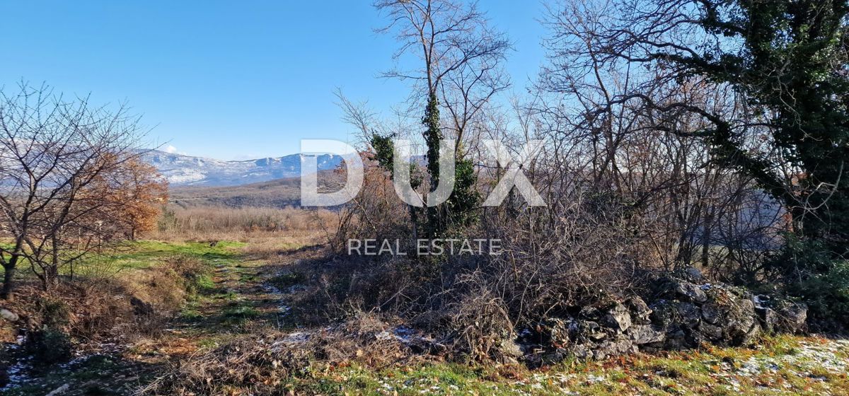 ISTRA, PIĆAN - Gradbeno zemljišče, oljčni nasad, vinograd, njiva, popolna samota in fantastičen razgled