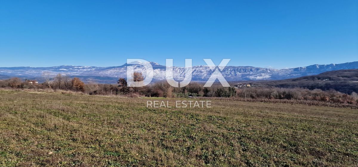 ISTRA, PIĆAN - Gradbeno zemljišče, oljčni nasad, vinograd, njiva, popolna samota in fantastičen razgled