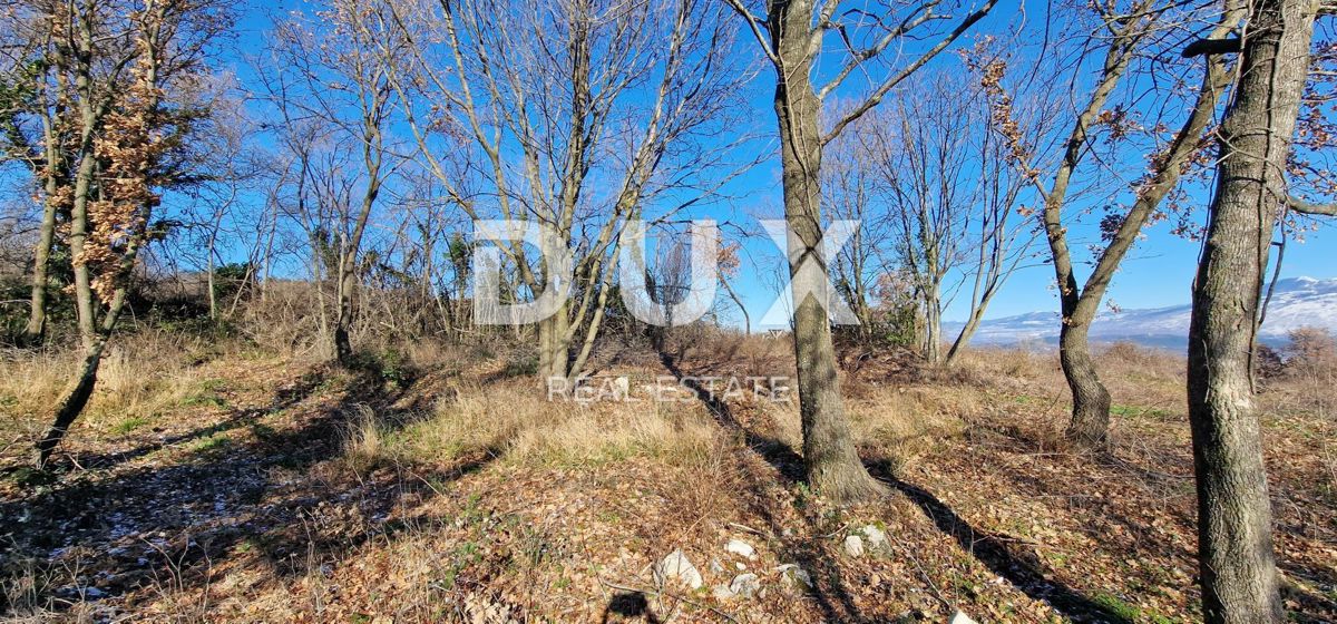 ISTRA, PIĆAN - Gradbeno zemljišče, oljčni nasad, vinograd, njiva, popolna samota in fantastičen razgled