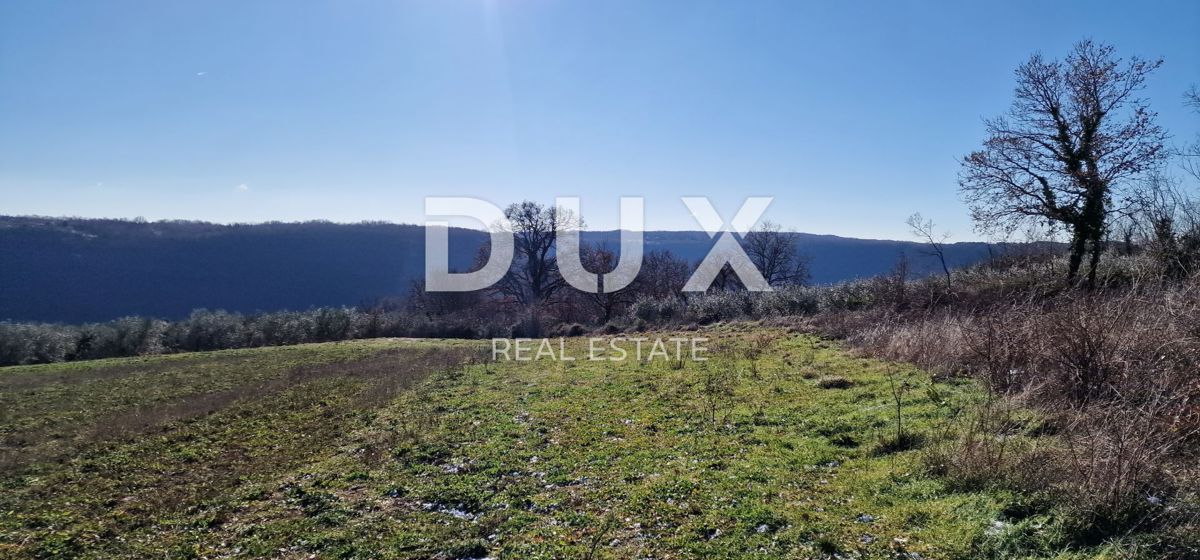 ISTRA, PIĆAN - Gradbeno zemljišče, oljčni nasad, vinograd, njiva, popolna samota in fantastičen razgled