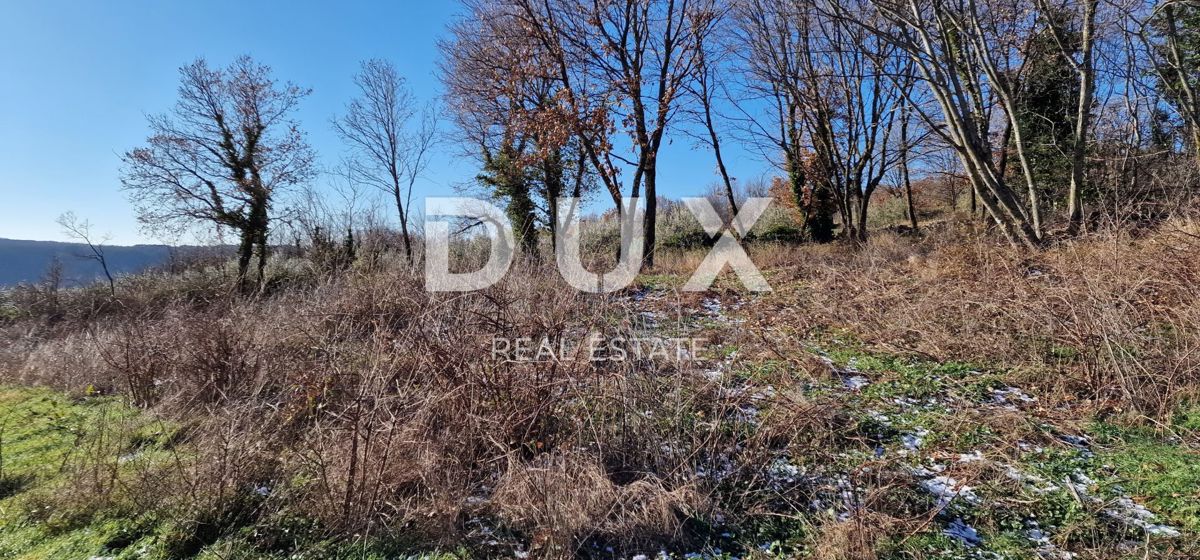 ISTRA, PIĆAN - Gradbeno zemljišče, oljčni nasad, vinograd, njiva, popolna samota in fantastičen razgled