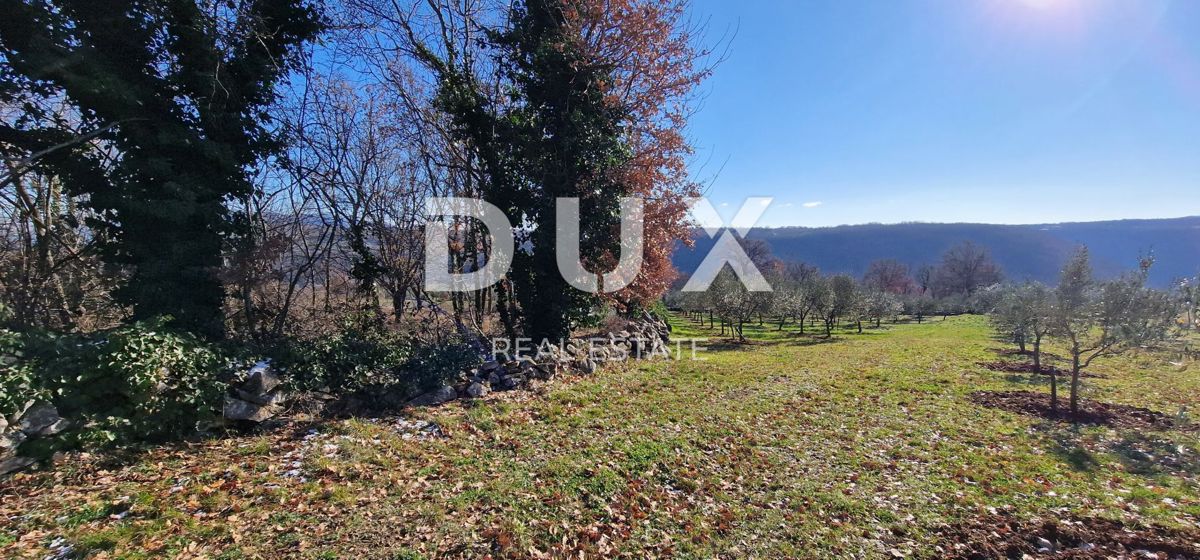 ISTRA, PIĆAN - Gradbeno zemljišče, oljčni nasad, vinograd, njiva, popolna samota in fantastičen razgled