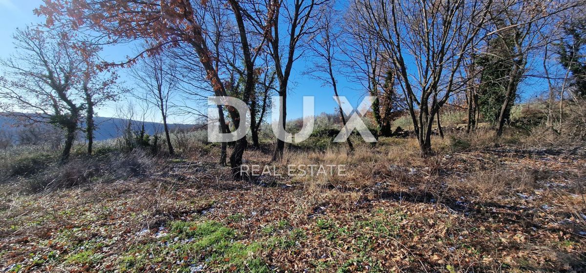 ISTRA, PIĆAN - Gradbeno zemljišče, oljčni nasad, vinograd, njiva, popolna samota in fantastičen razgled