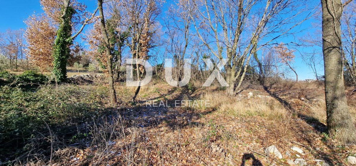 ISTRA, PIĆAN - Gradbeno zemljišče, oljčni nasad, vinograd, njiva, popolna samota in fantastičen razgled