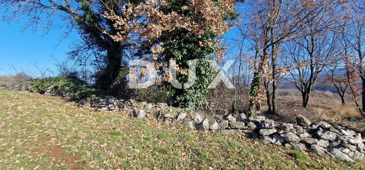 ISTRA, PIĆAN - Gradbeno zemljišče, oljčni nasad, vinograd, njiva, popolna samota in fantastičen razgled