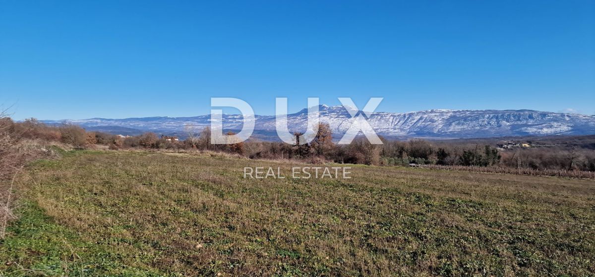 ISTRA, PIĆAN - Gradbeno zemljišče, oljčni nasad, vinograd, njiva, popolna samota in fantastičen razgled